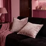 Luxurious Velvet Throw Pillow Covers 20x20 Set of 2 Decorative Pillow Covers Solid Square Cushion Case for Sofa Couch Bedroom Farmhouse, Pink