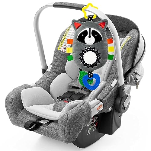 Miniatura 5 de Squish 'N Play - Juguete de actividad de mapache, juguete de aprendizaje multisensorial para bebé, juguete para el asiento del automóvil, juguete