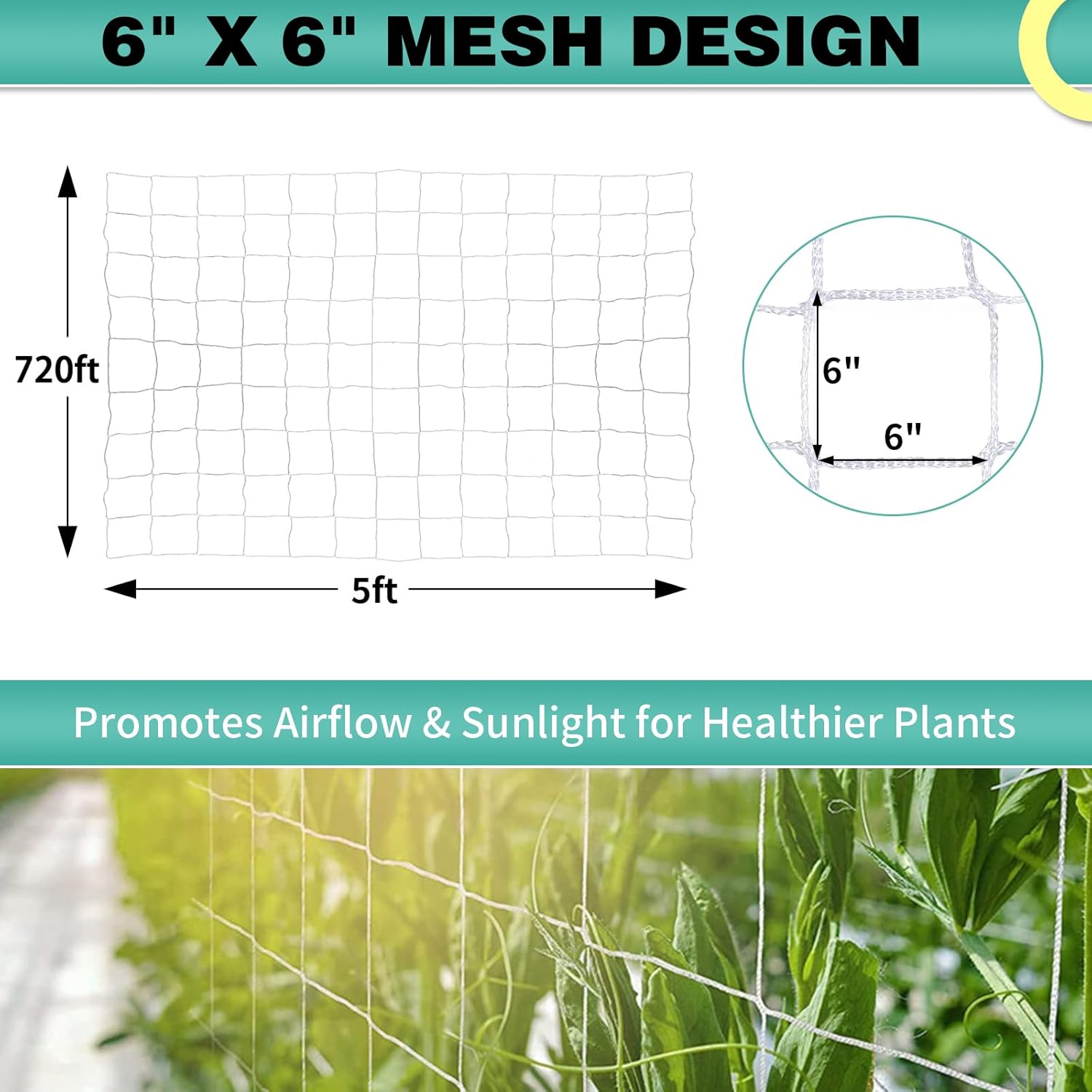 6.6 x 720 Ft Nylon Trellis Netting, 6×6 Heavy Duty Trellis Mesh Garden Netting for Climbing Plants, Use for Tomatoes, Cucumbers, Peas, Grape Racks