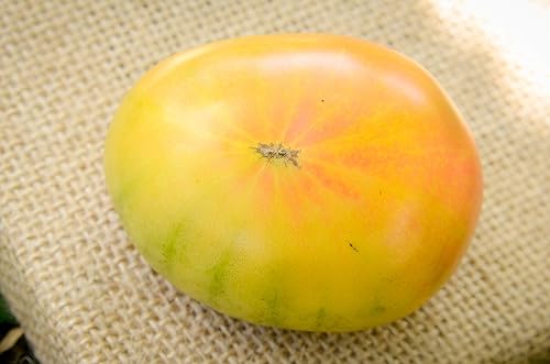 Miniatura 2 de Hillbilly Heirloom - Semillas de tomate prémium para plantar paquete