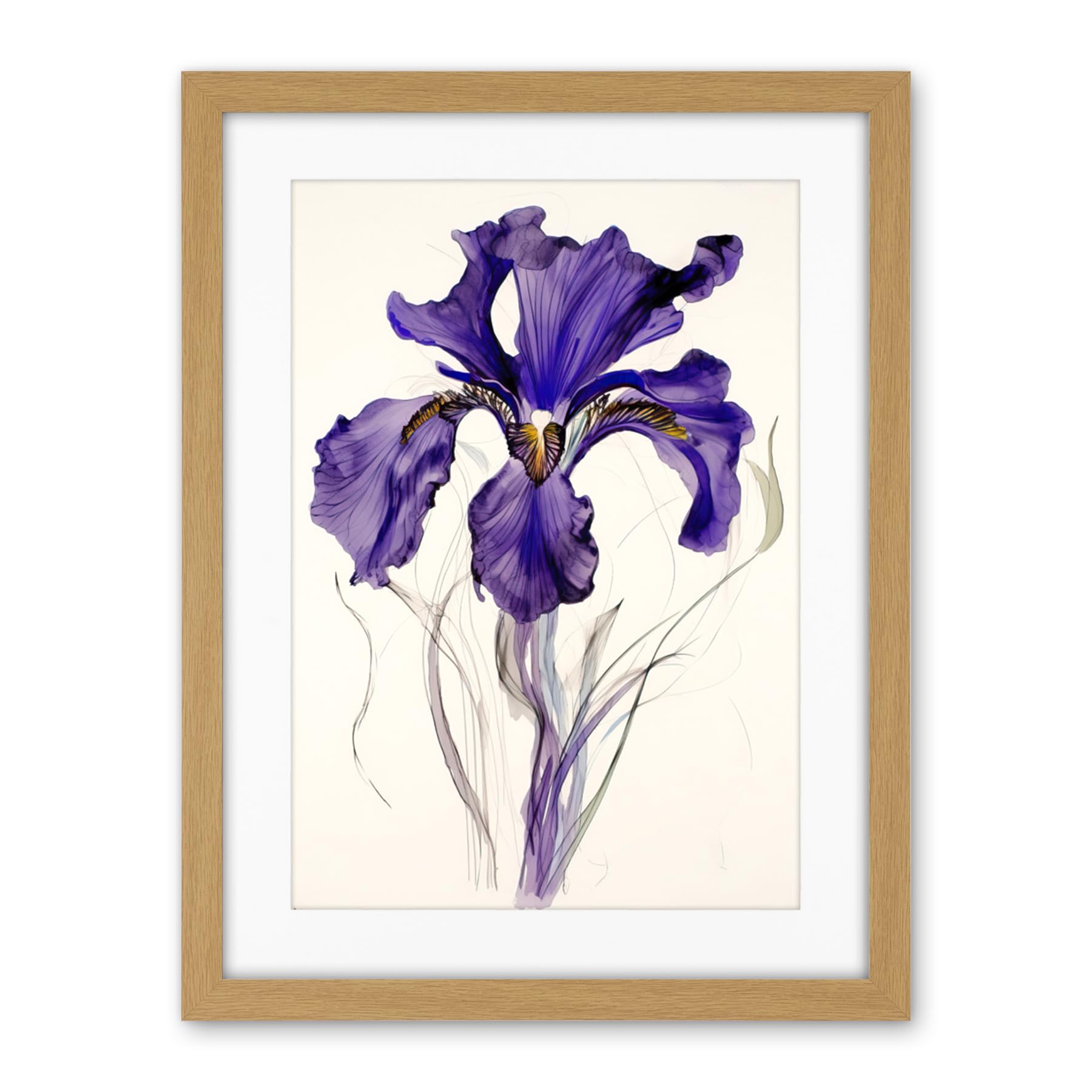 Artery8 Iris Reticulata Watercolour Flower Bloom Drawing Artwork Framed Wall Art Print 18X24 Inch