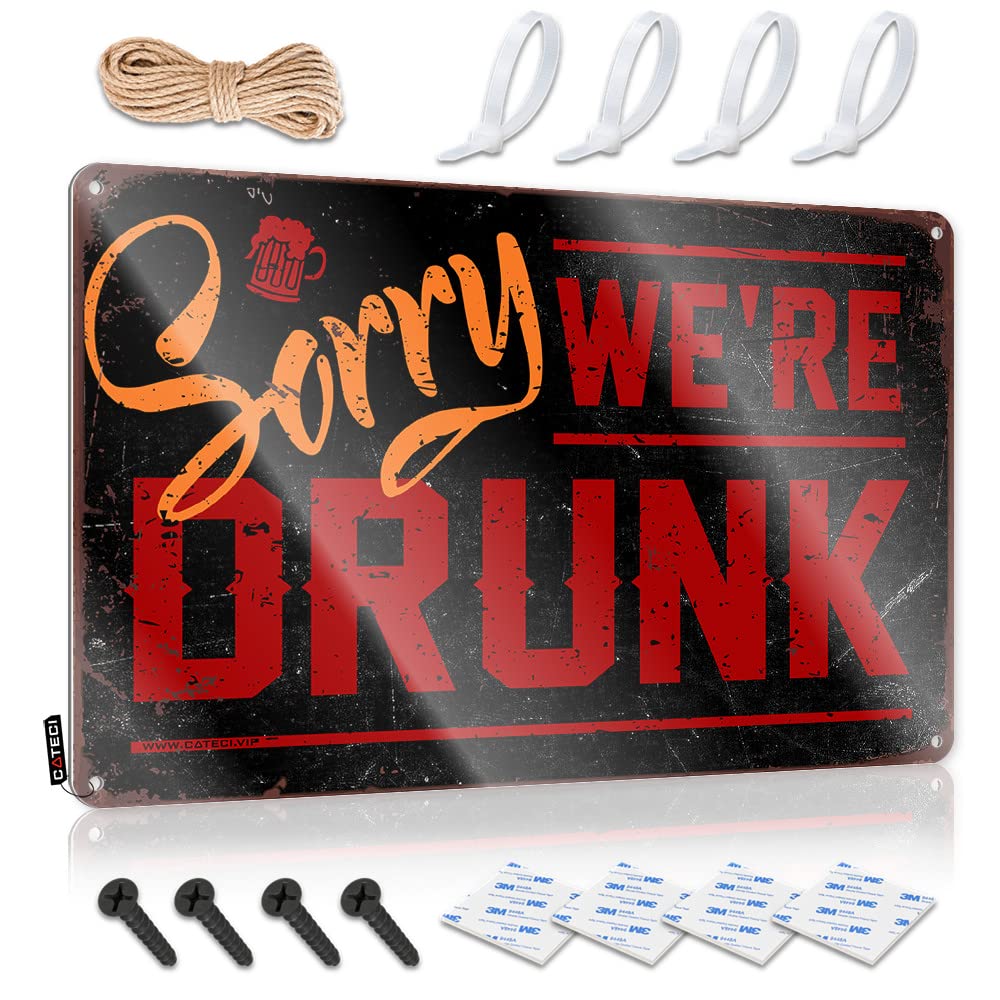 Targa in Metallo con Scritta Divertente in Lingua Inglese Man Cave Bar You Can't Fix Stupid 20,3 x 30,5 cm