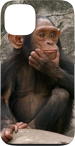 Funda para iPhone 13 con diseño de mono de chimpancé
