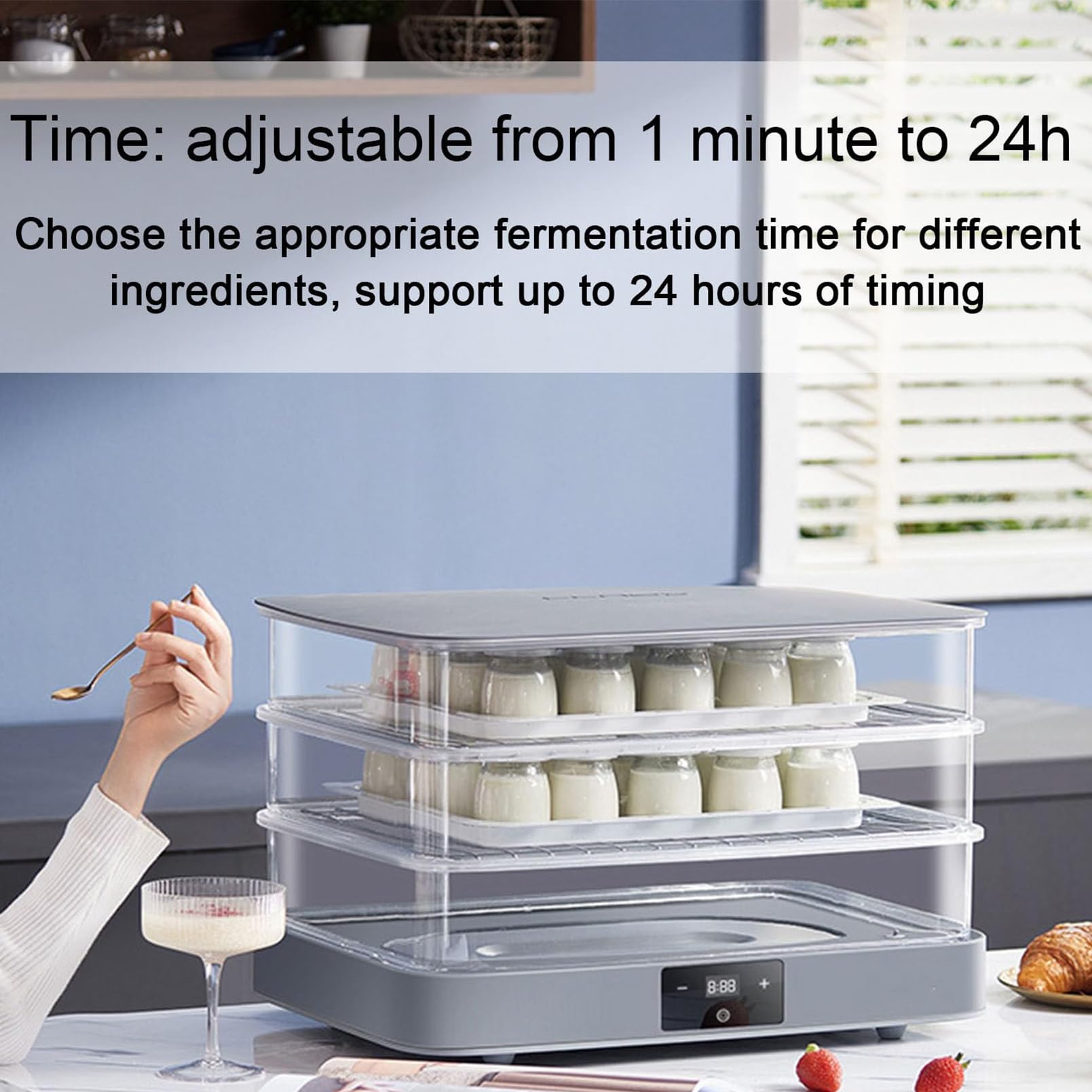 Macchina Elettrica per la Lievitazione del Pane, umidità Automatica della Lievitazione Dell'impasto Visibile e Pannello Touch per Il Controllo della Temperatura di 20-45 ℃ Macchina