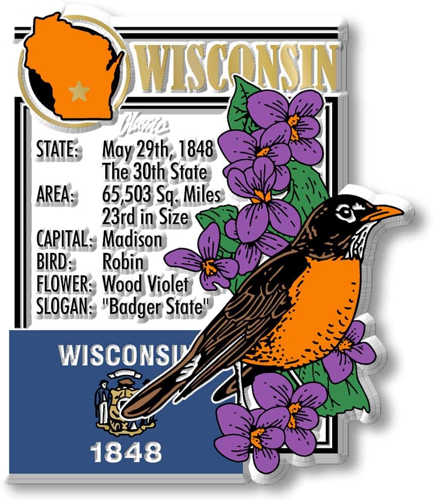 Wisconsin Six-Piece State Magnet Set by Classic Magnets, Includes 6 Unique Designs, Collectible 3D Rubber Vintage-Style Souvenirs and Gifts Made in the USA image 2