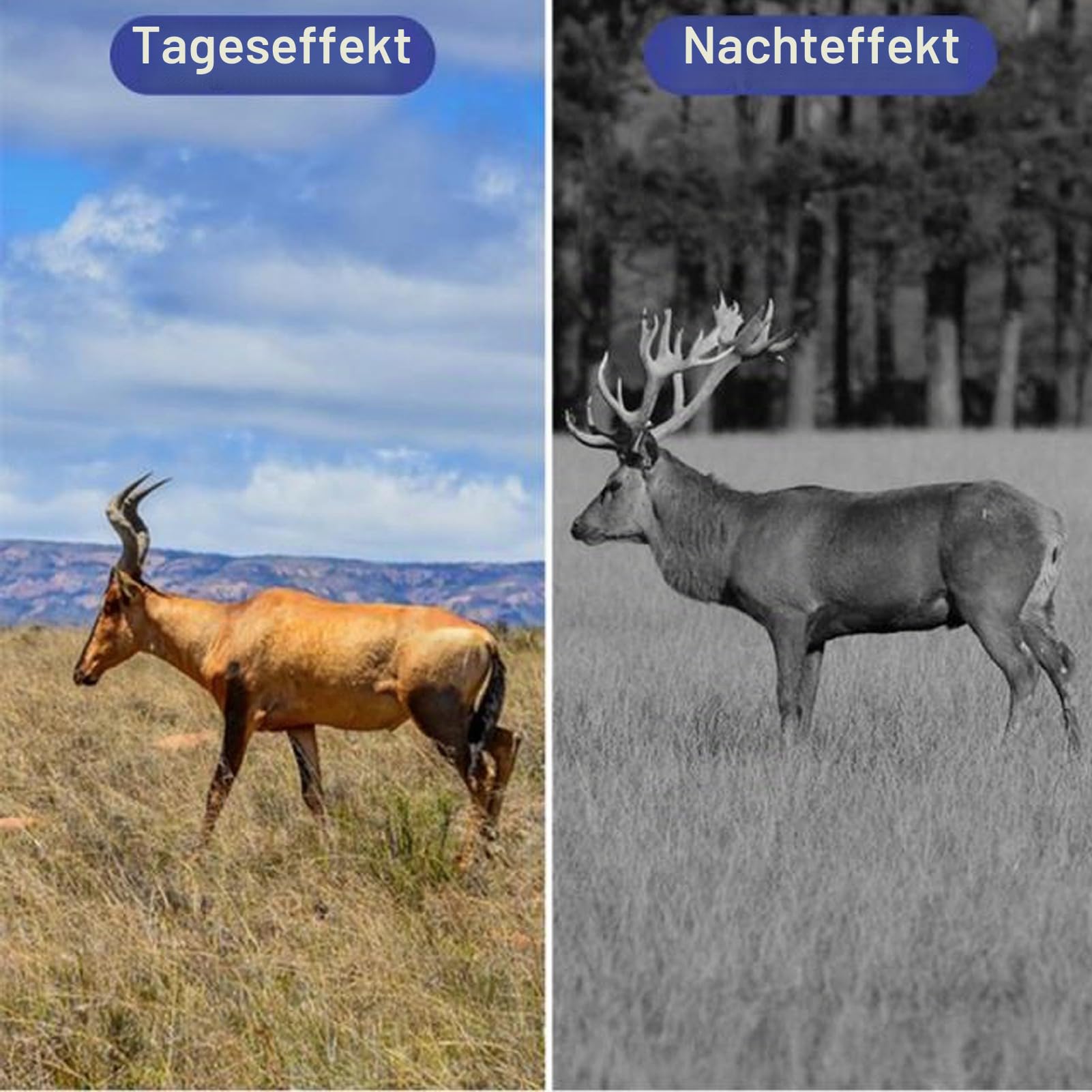 Wildkamera, 4K-Wildkamera mit Nachtsicht, Bewegungsaktivierte Jagdkamera mit 0,2-Sekunden-Auslöser, IP66 Wasserdicht, 120° Weitwinkel Zur Wildtierüberwachung