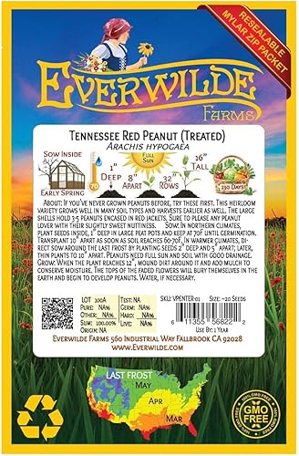 Miniatura 2 de Everwilde Farms - 10 semillas de maní rojo Tennessee (tratadas) - Paquete Gold Vault