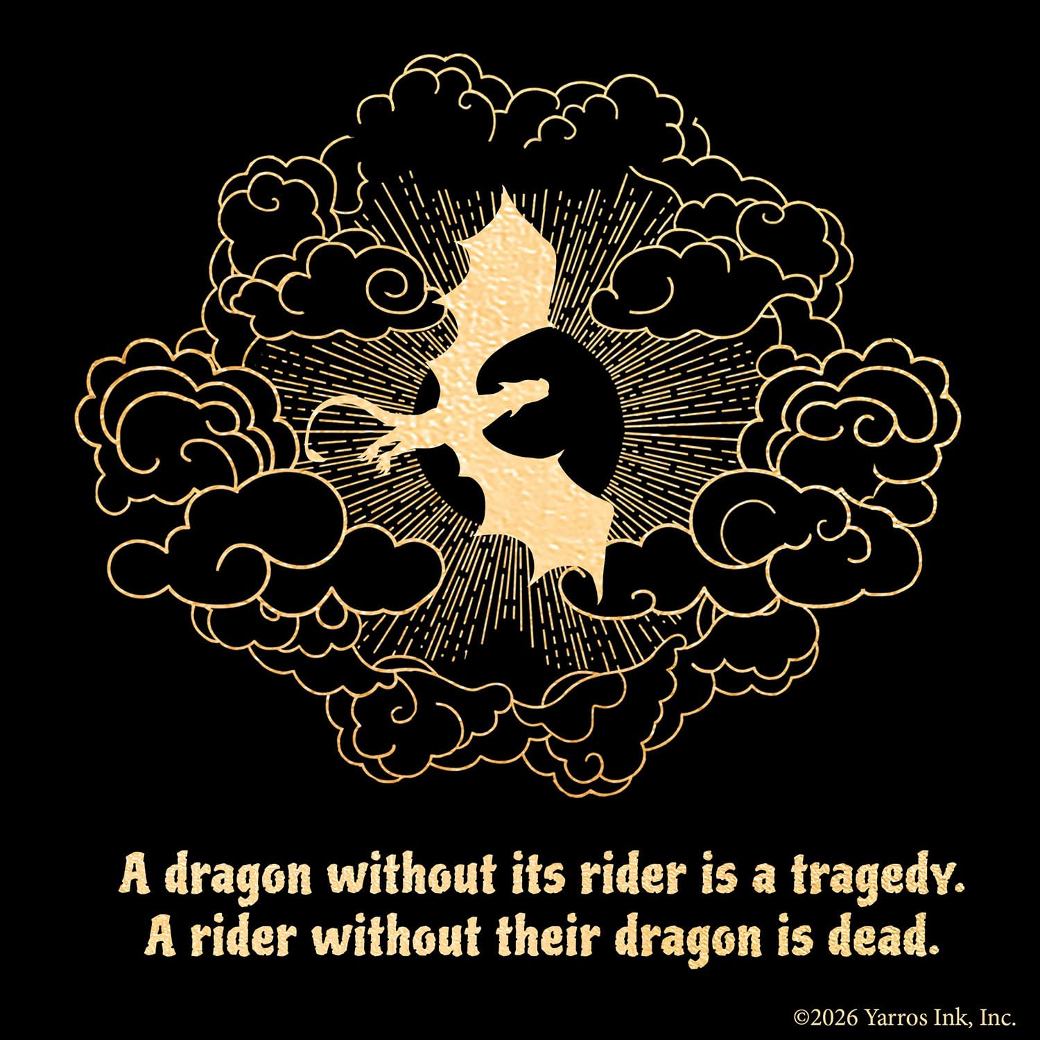 Fourth Wing Puzzle - Dragons: Spiel