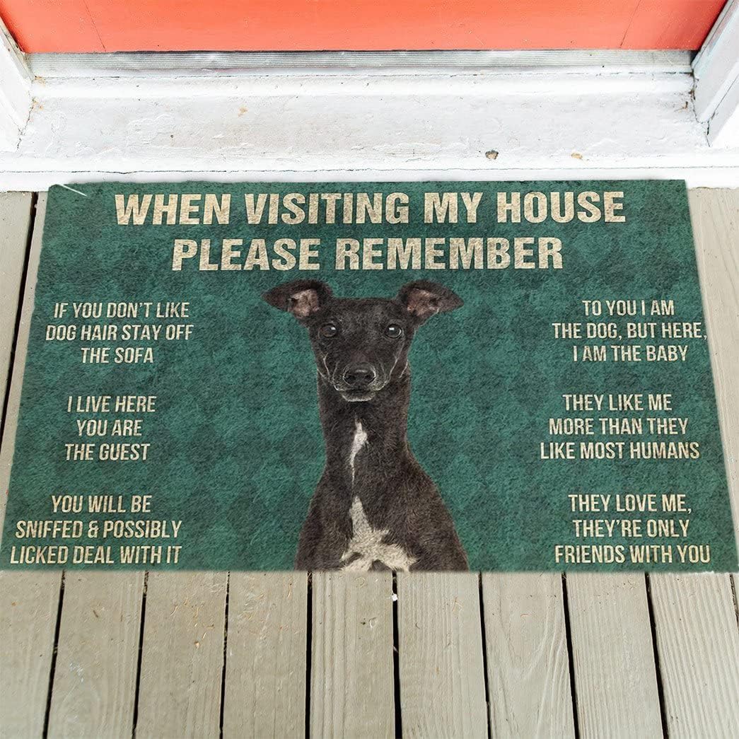 Italian Greyhound Dog Doormat, Italian Greyhound Dog and Rules When Visiting My House Entryway Doormat Indoor, Dog Welcome Floor Mat Rug. Gift for Dog Lovers, Decorative Doormat Welcome Home Gifts