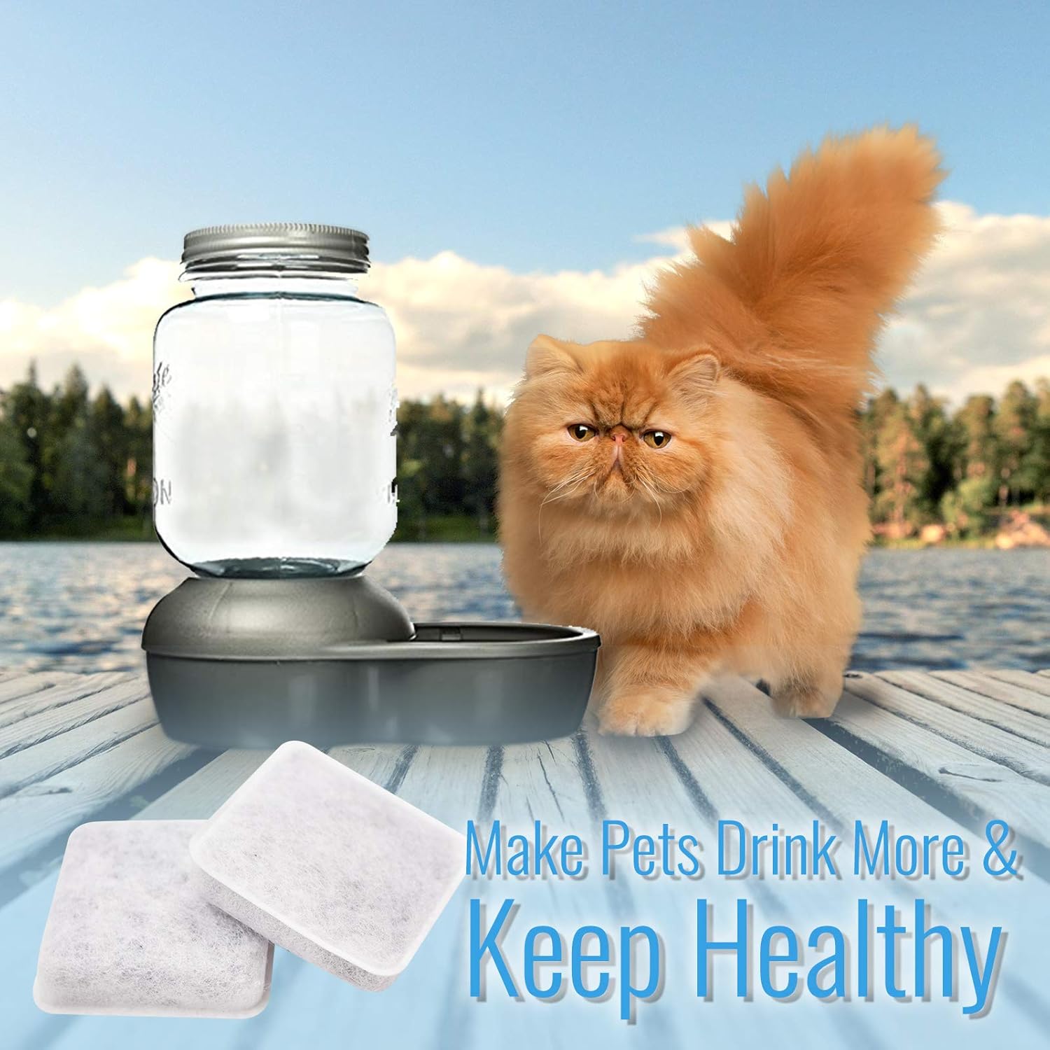 petmate mason jar filter