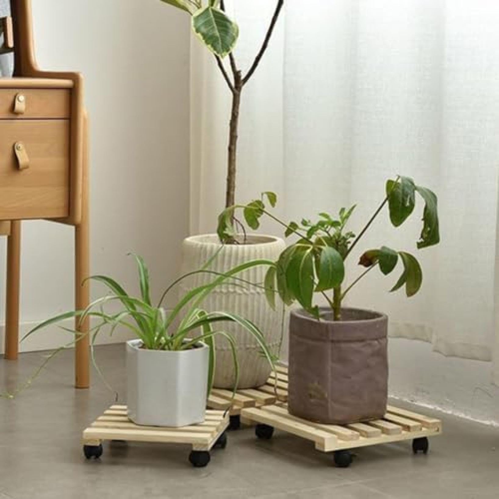 Amazon.co.jp: 花台キャスター付角型 キャスター付で移動もラクラク