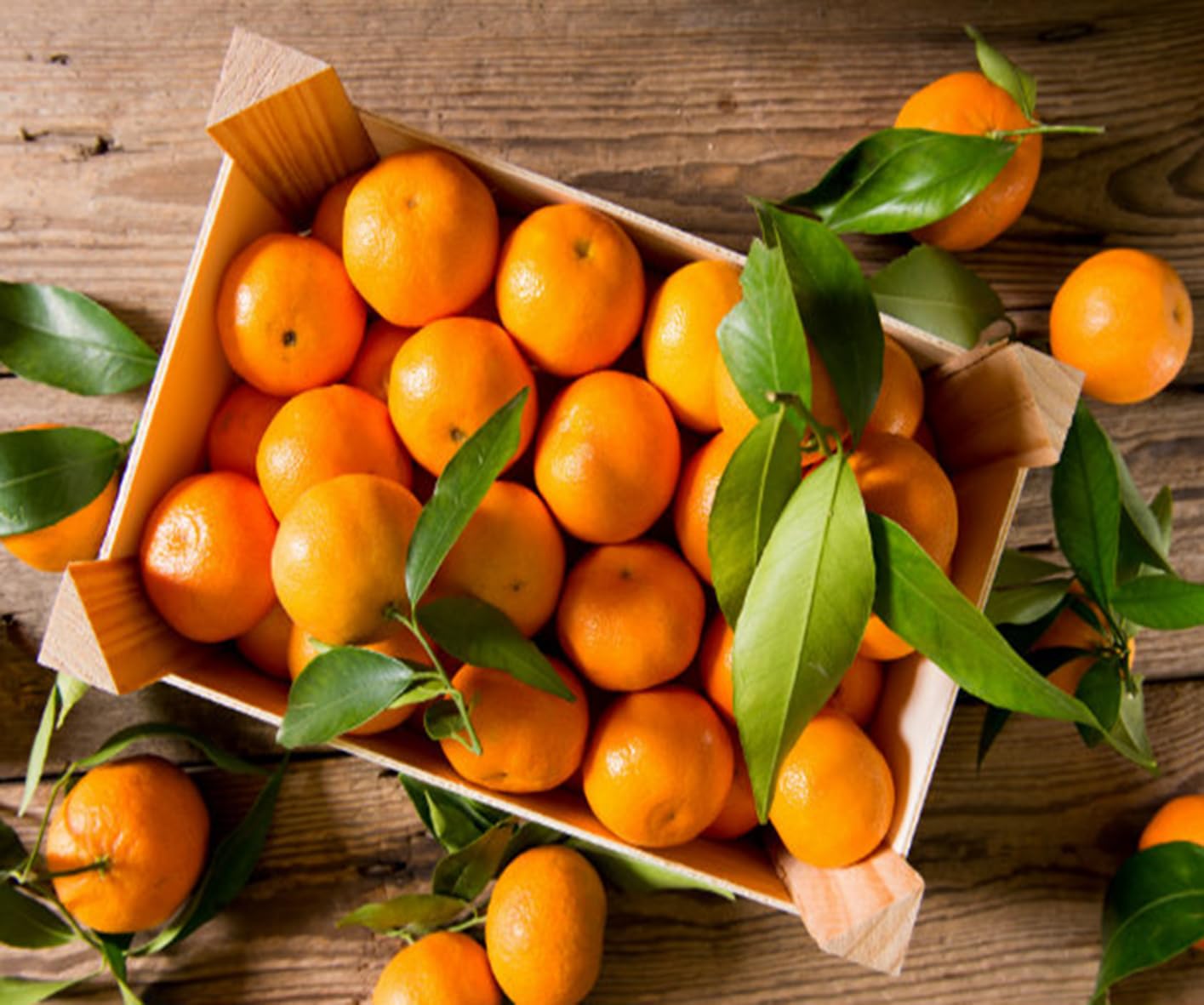 Agrumi BoxMix Kg.9 di Agrumi: di cui CLEMENTINE e ARANCE di Corigliano-Rossano Calabria - Agrumi Mandarini Mandarancio Naveline Navel