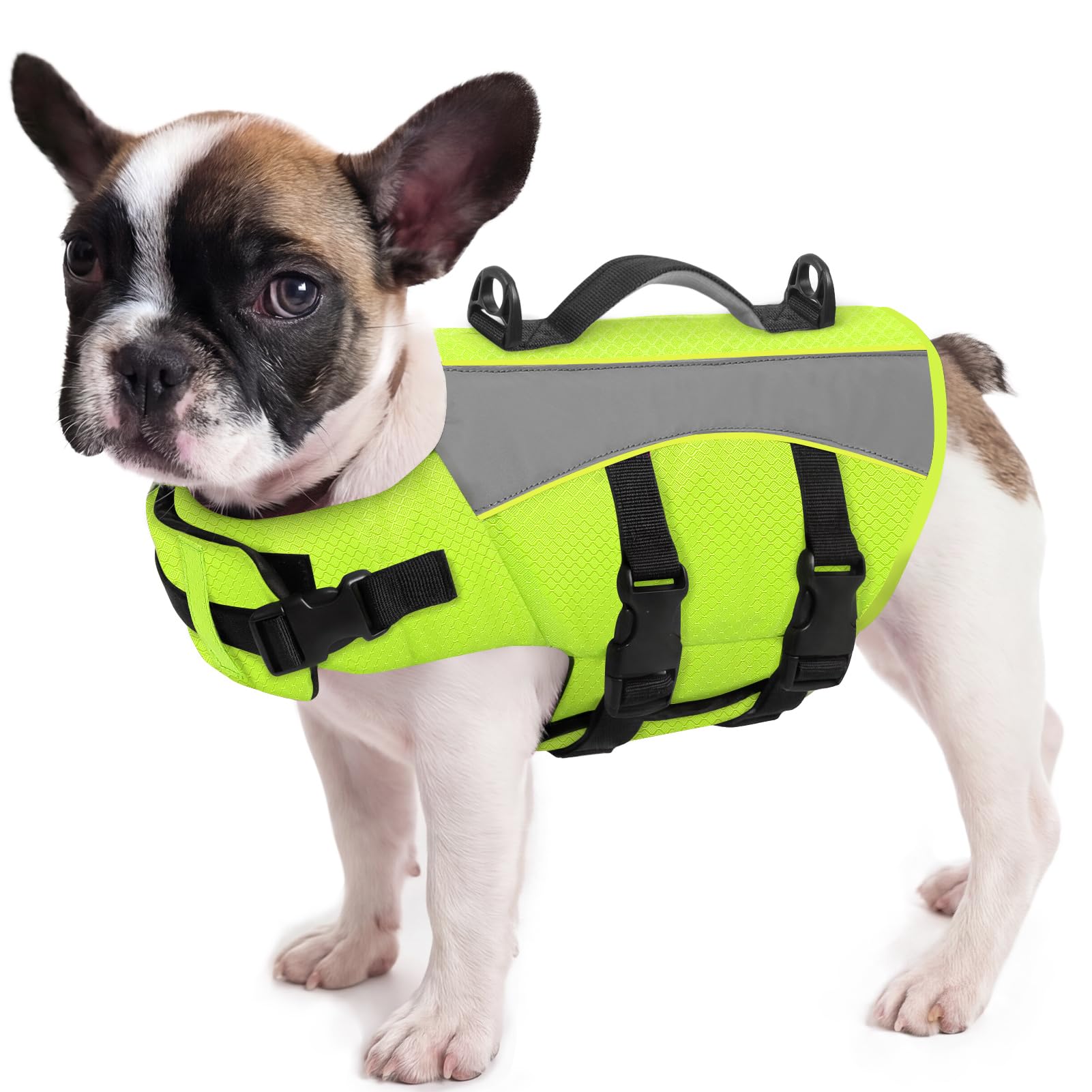 Queenmore Dog Life Vest For Swimming XS Dog Life Jacket Lightweight &Adjustable Buoyancy Aid For Paddleboarding for small dogs Beach Accessories With Rescue Handle (Green, XS)