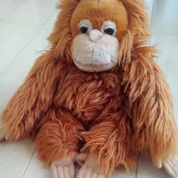 どんぐりアート　オラ うーたんページ 71b2UVDlPUL._UF350,350_QL50_.jpg