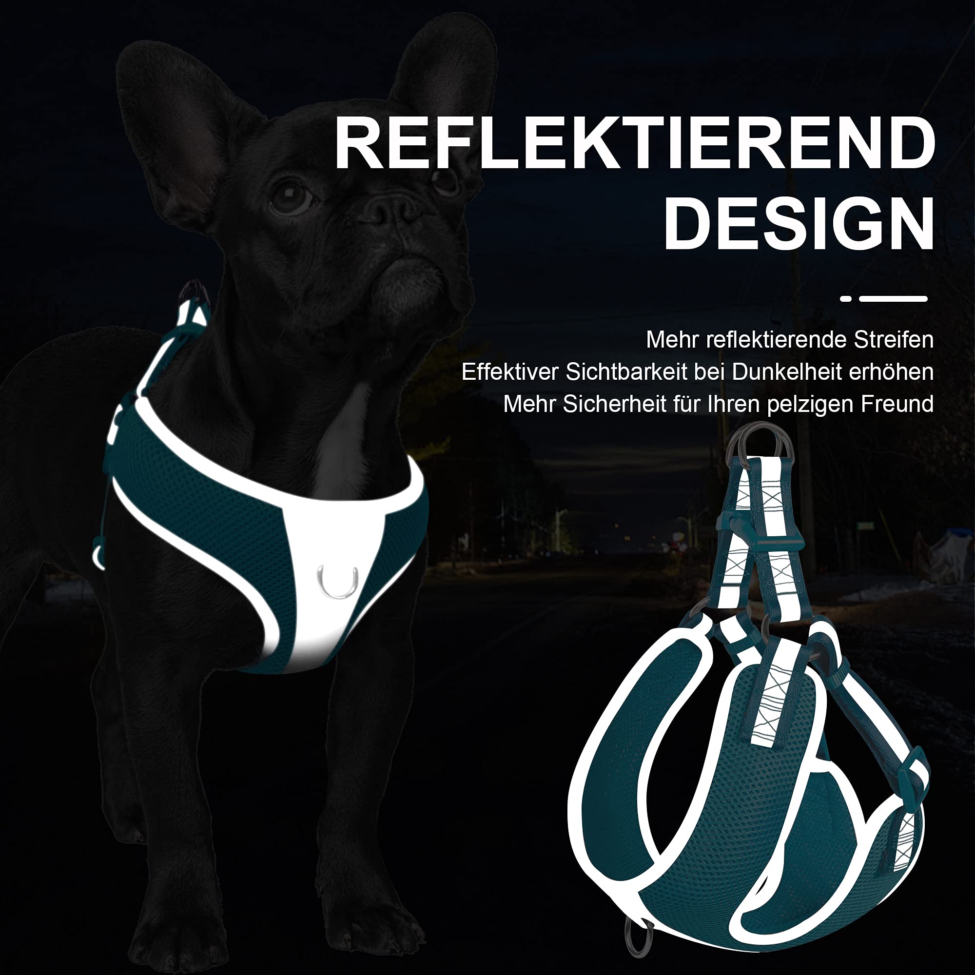 Fida Hundegeschirr Mit Leine – Step-in Design, Atmungsaktiv, Reflektierend, Größe S, Blau