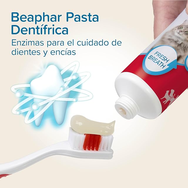 Foto 2 de 7 de Beaphar Pack Dental - Pasta Dental + Cepillo Dental de doble cabezal - Para perros y gatos