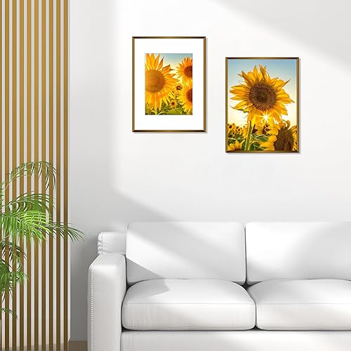 Vista 195 de Frametory - Marco de aluminio de 11 x 14 para fotos de 8 x 10 (en pulgadas), con paspartú marfil, de pared, con gancho de sierra, pestañas Bronce