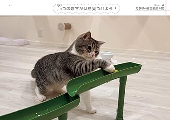 もちまる日記 まちがい探し (ブティック・ムックno.1681) | 下僕 |本