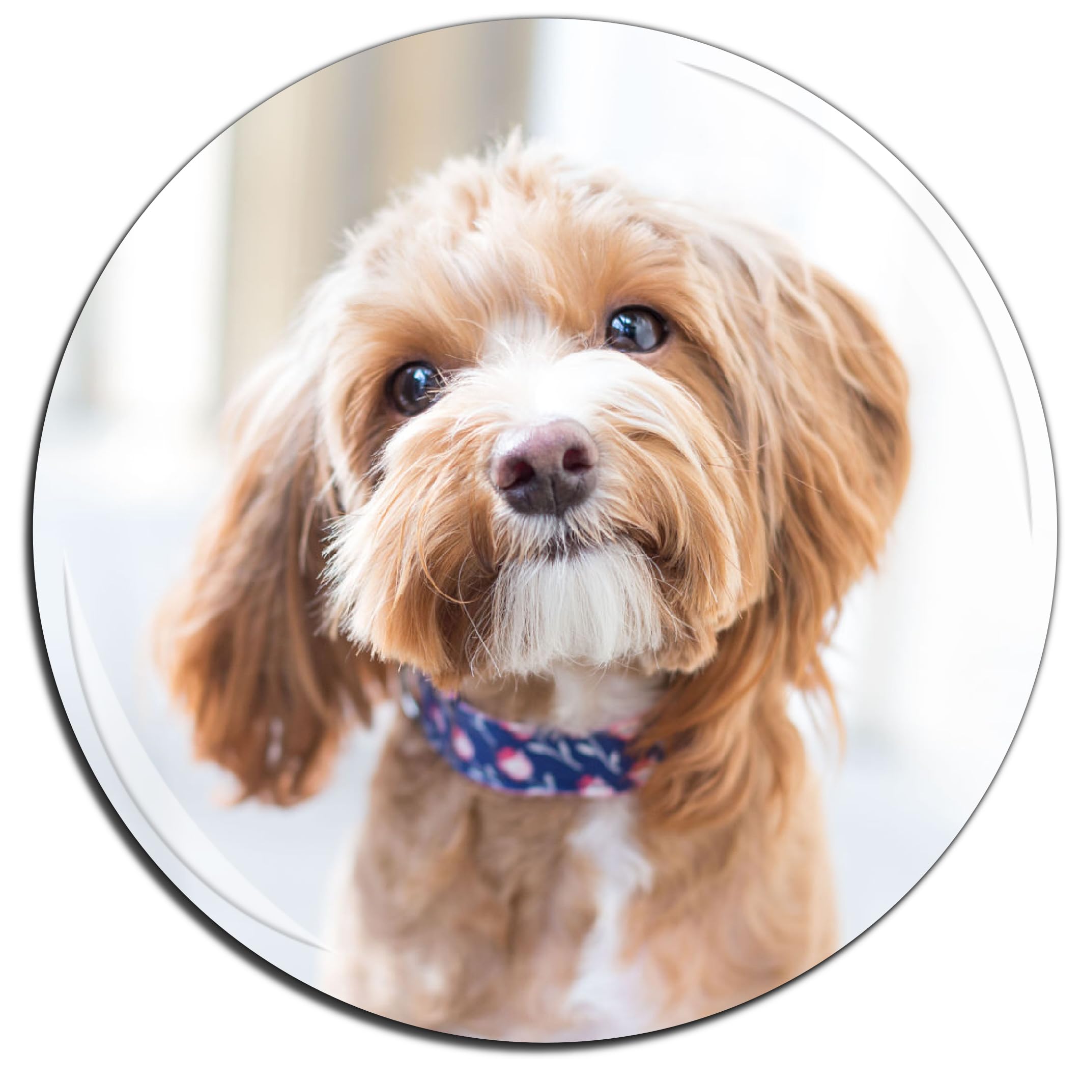 Personalised Photo Badge N85 Your Image Custom Birthday Memorial Wedding Company Logo Large 75mm
