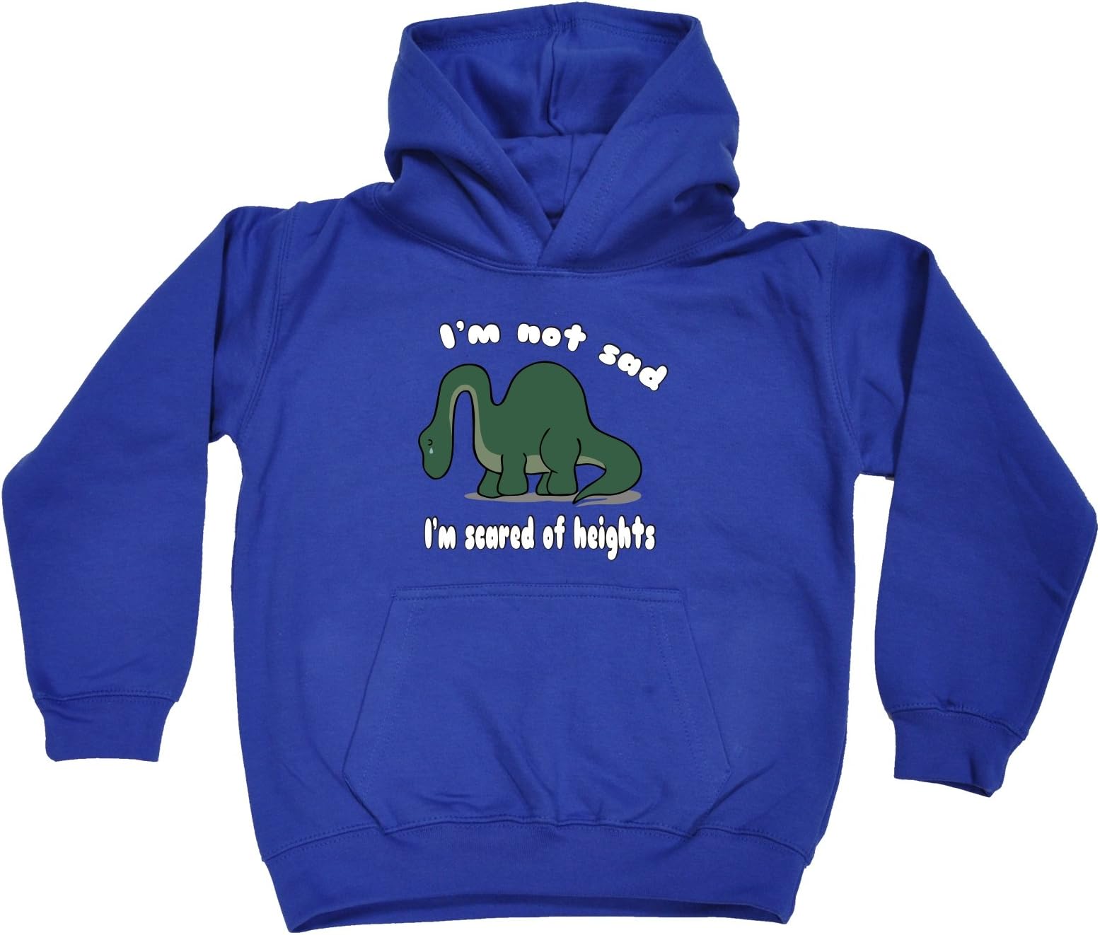 Novelty Funny Top - Slogans Kids Boy's Girl's I'm NOT SAD Scared of Heights Dinosaur Design Hoodie Ages 1 13 Clothing