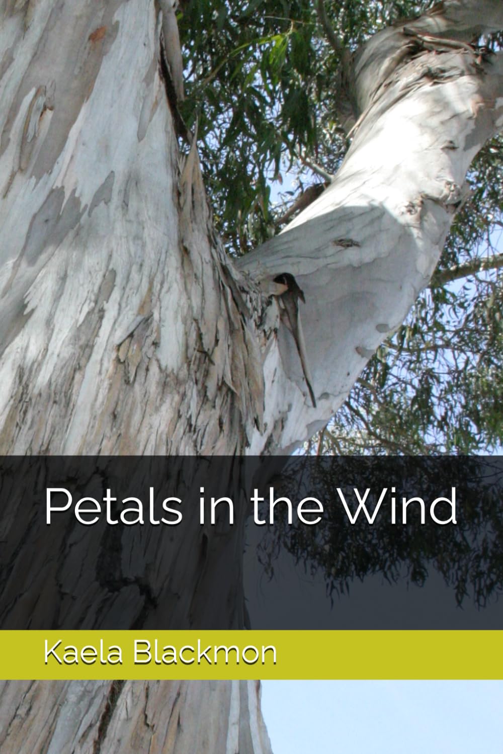Petals in the Wind