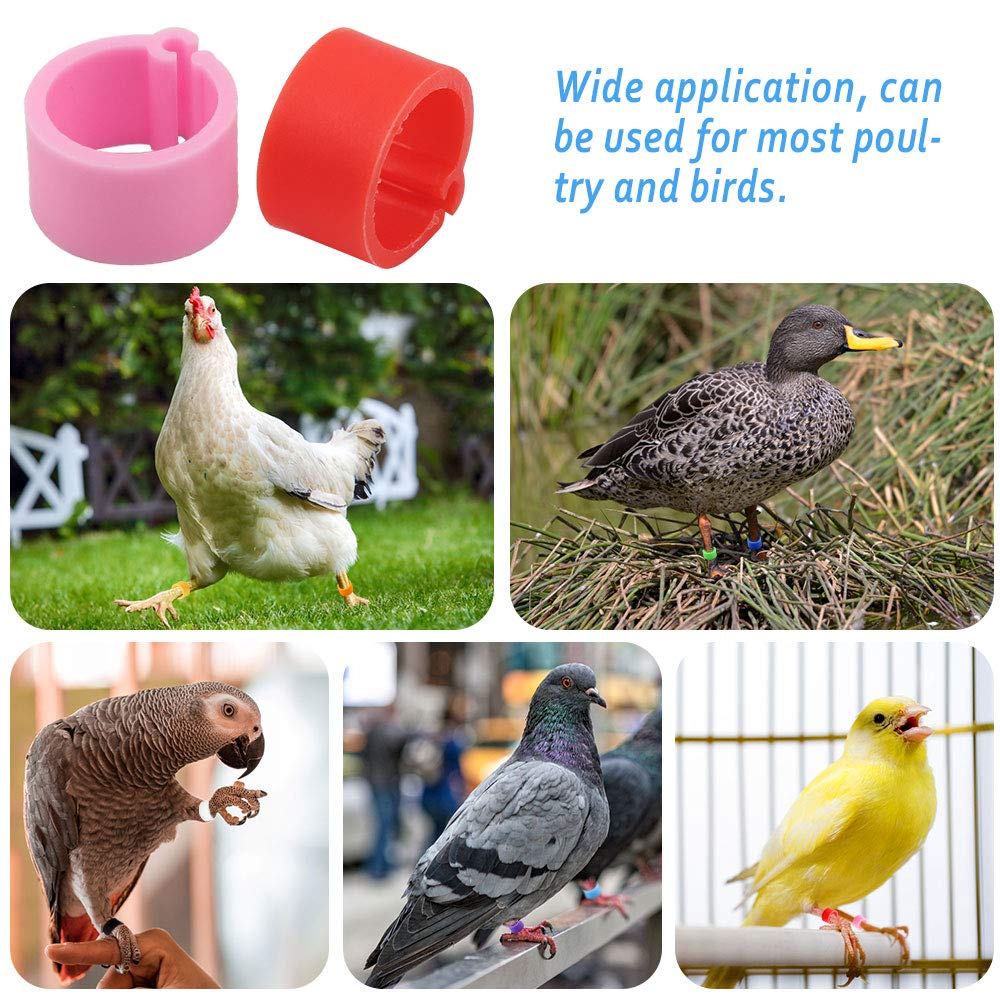 Anillos de Identificación para Aves 200pcs Anillos Pollo Paloma Banda Pierna Color Mezclado