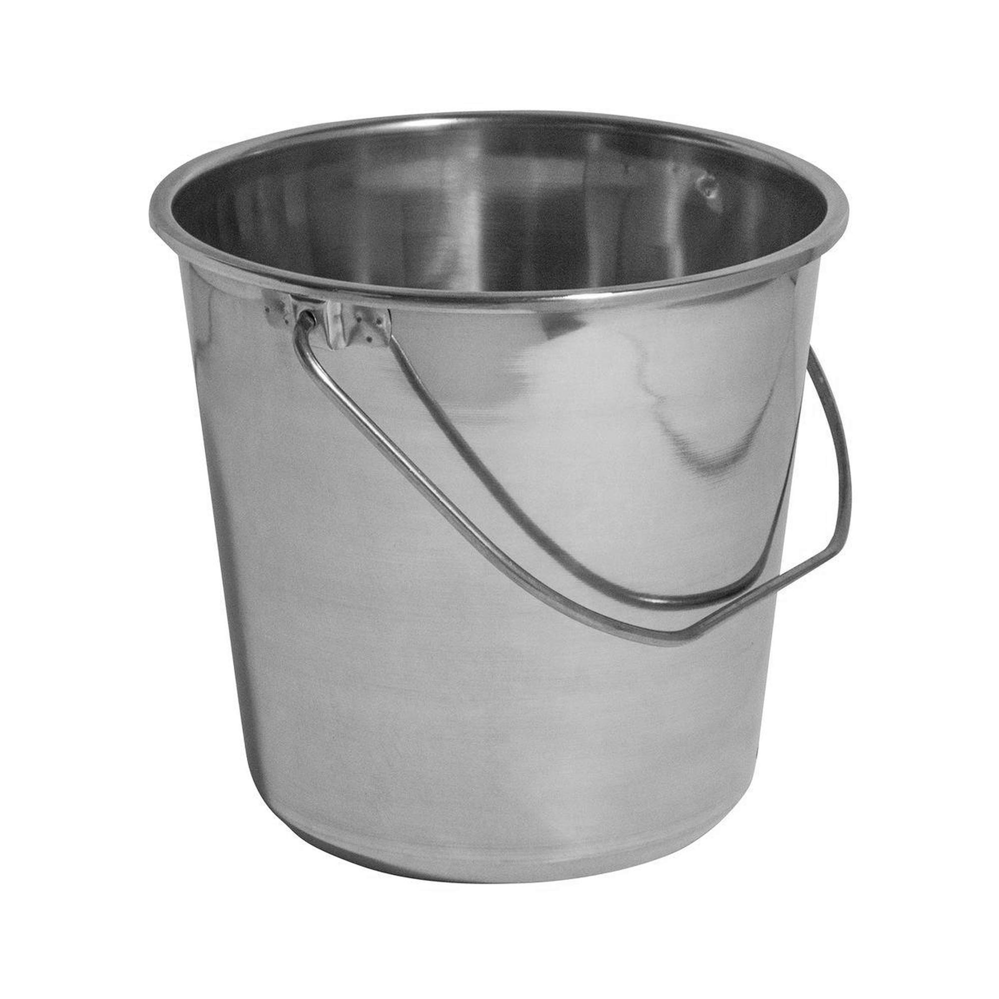 Buy Stainless Steel Bucket with Handle 8 Litre Water Cleaning Champagne