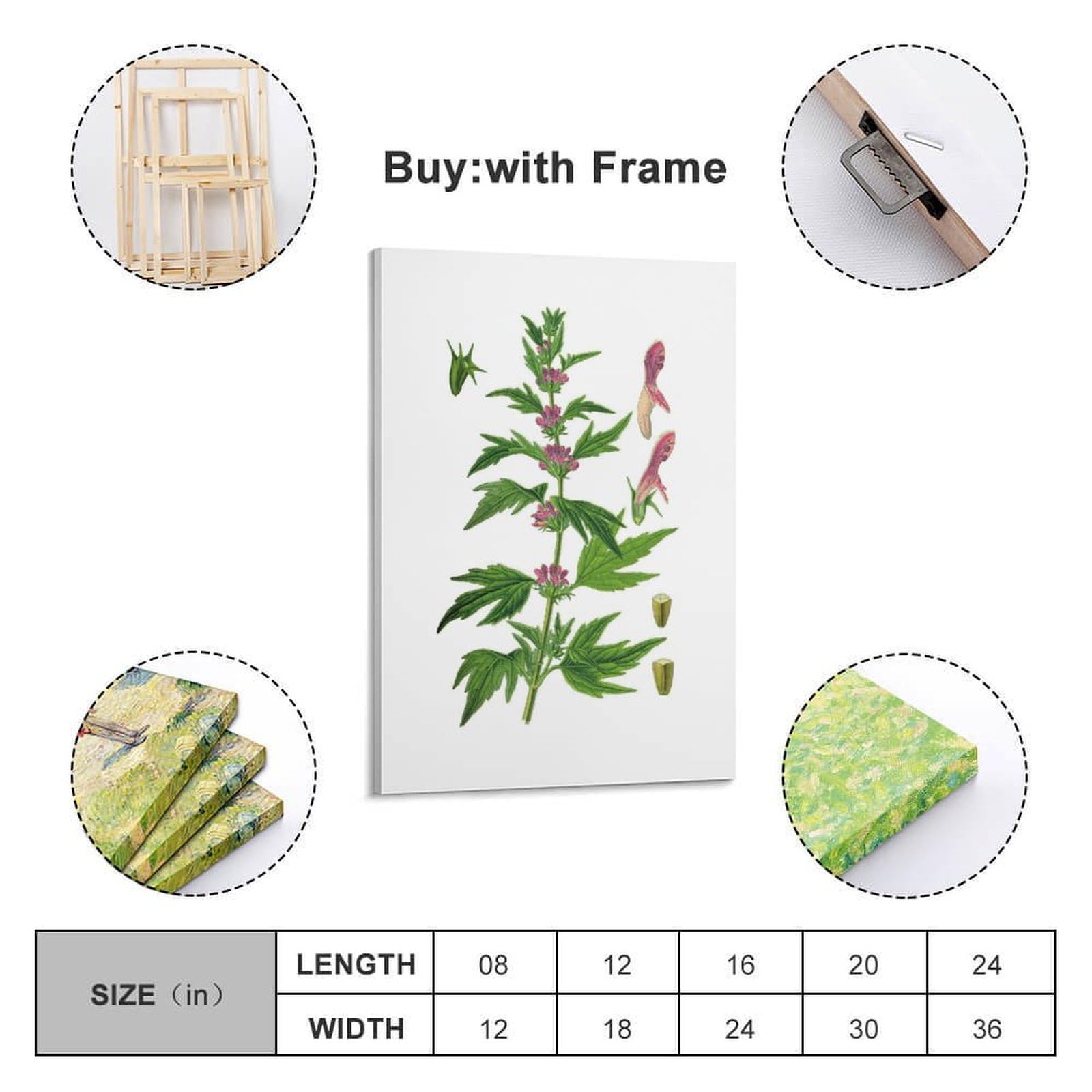 HNPBB Poster "Botanys & Plant", gemeines Mutterkraut, Illustration, Poster, dekoratives Gemälde, Leinwand, Wandposter und Kunstdruck, moderne Familienschlafzimmer-Dekoration, Poster, 30 x 45 cm