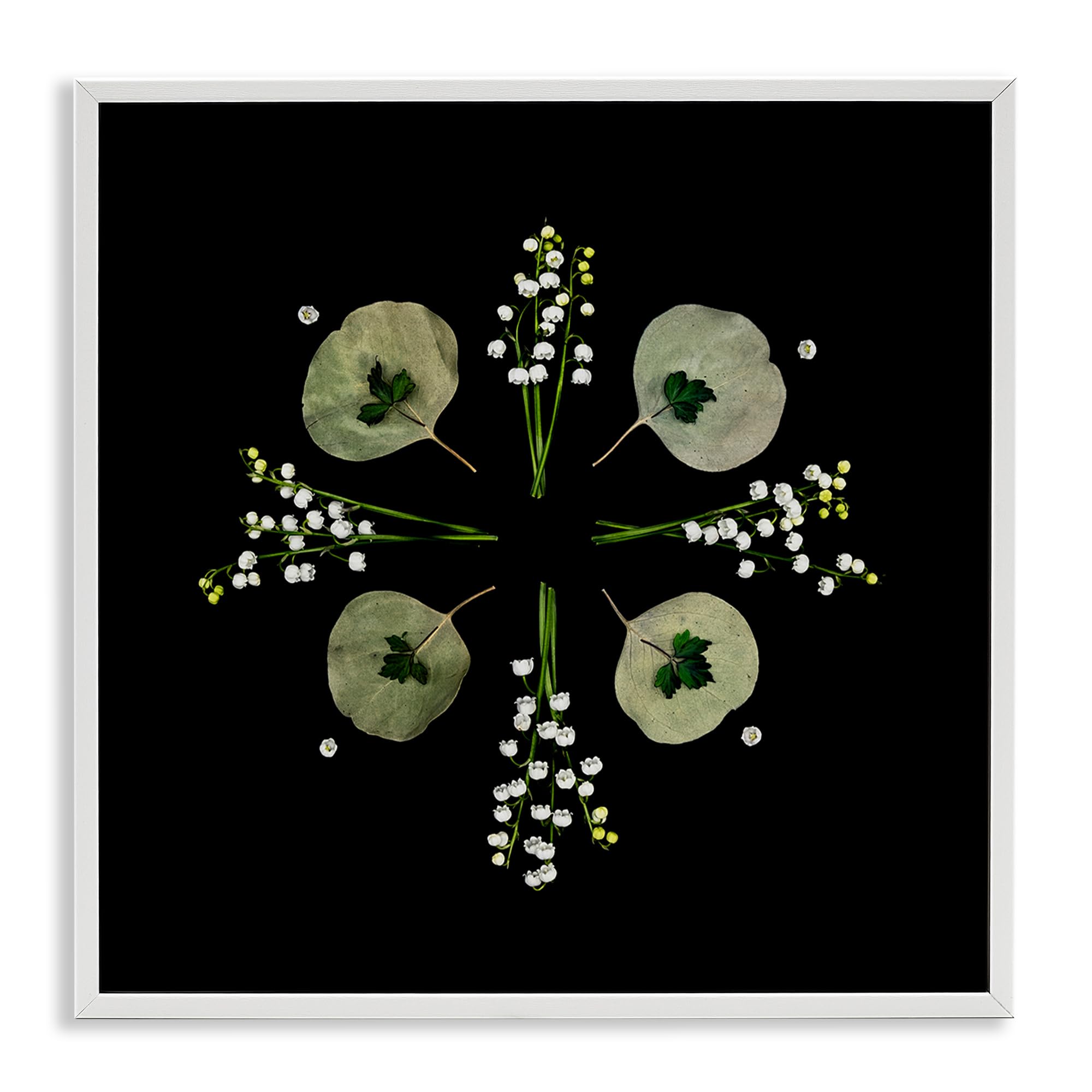 Stupell Industries 'Leaves & Wildflowers on Black', Framed Giclee Art, White, 17 x 17 Inches, Easy to Hang and Sturdy, Made in USA, by Beth Adoette