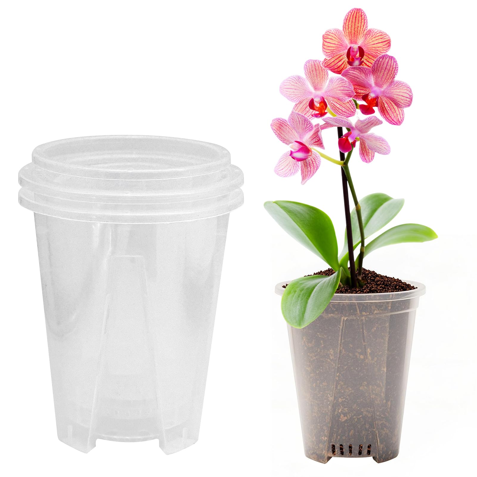 Griwuut 6 Stück Transparente Blumentöpfe Mit Loch (10/14/16 Cm) – Für Orchideen, Sukkulenten & Zimmerpflanzen
