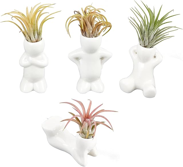 AHANDMAKER 4 Pcs Air Plant Holder Flower Pots, Small Ceramic Air Head Family People Planters, Table Top Display Vase for DIY Mini Plant Home Office Desk Window Decor Air Head Collector Birthday Gift