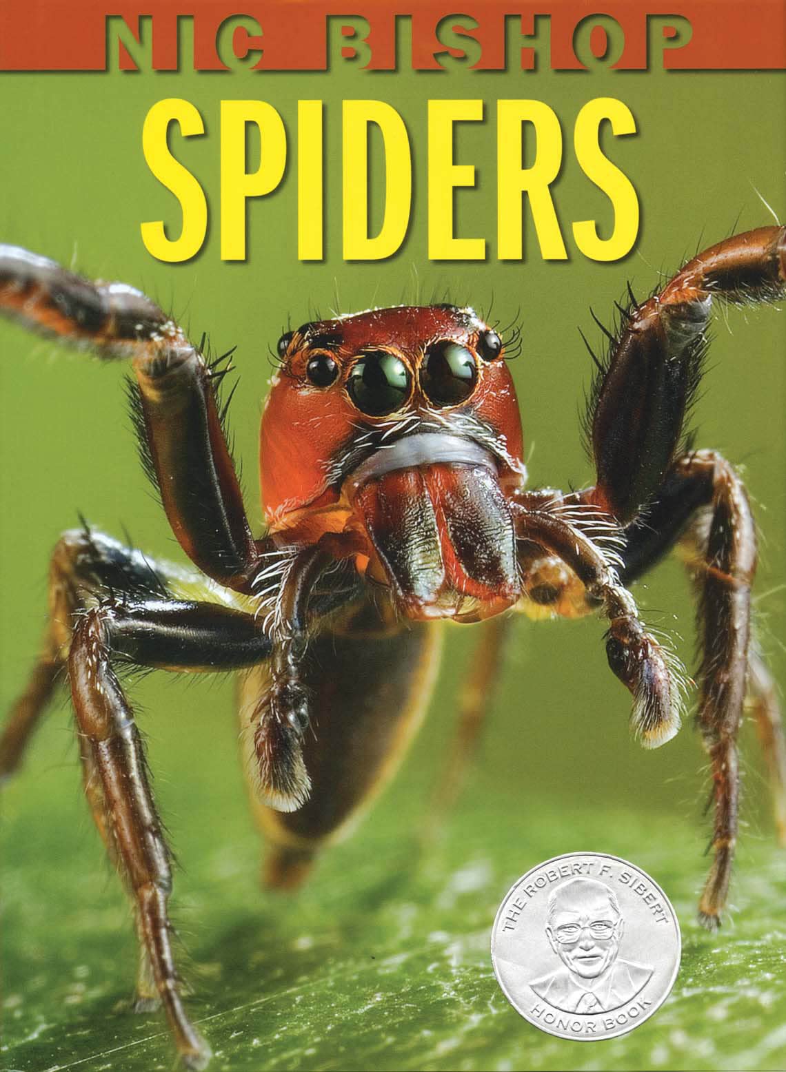 Nic Bishop Spiders (Sibert Honor Book)