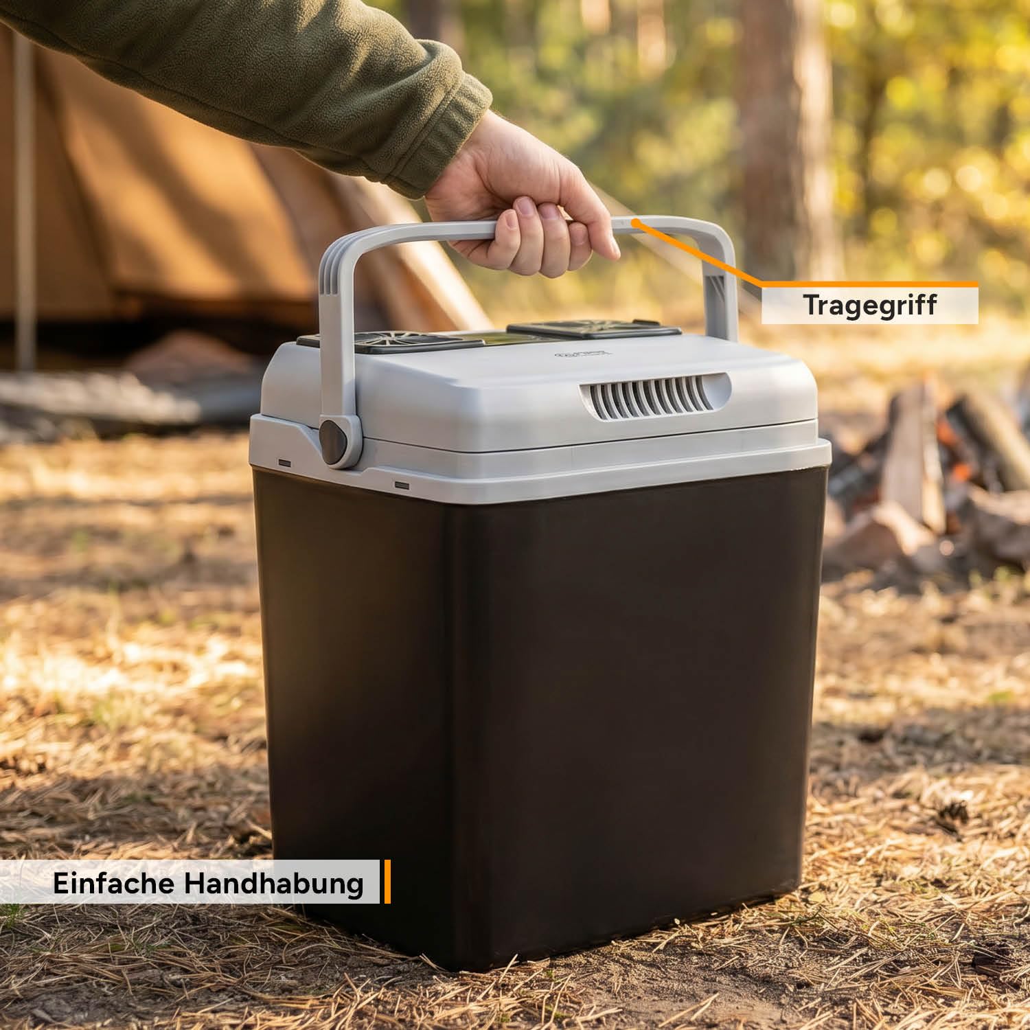 TZS First Austria Thermoelektrische Kühlbox 32L 230V/12V/USB-C PD 3.0 Mobile Minibar Schwarz/Grau