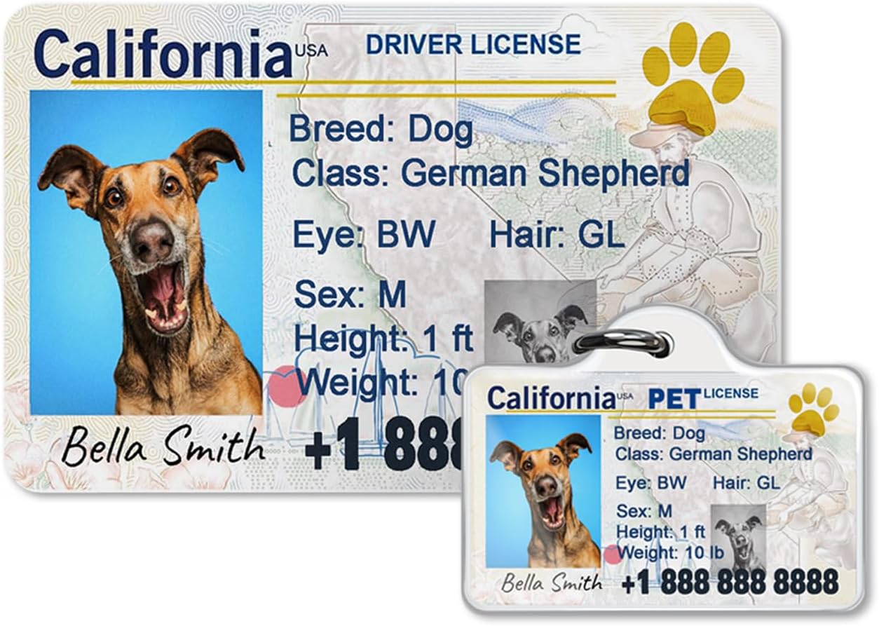 Dog License Tag Custom Pet Driver License ID Tags Dog Name