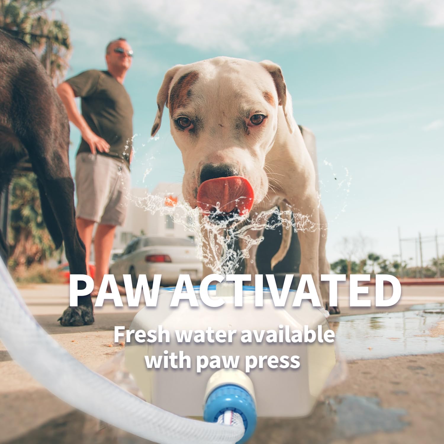 ALL FOR PAWS Dog Sprinkler Paw Activated Dog Step On Water Fountain Water Toys for Dogs Cooling and Hydration
