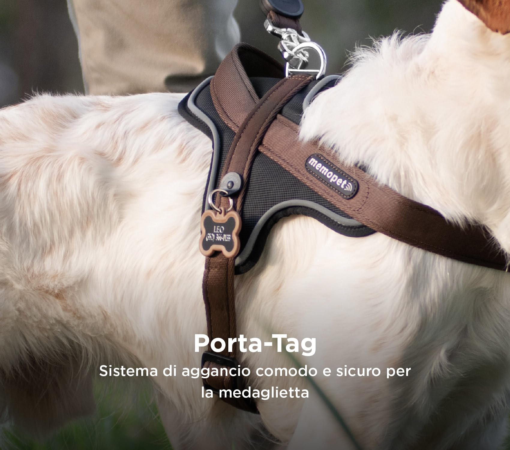 MyFamily Arnés para Perros De Poliéster Made In Italy, Los Datos Maestros De Tu Perro Siempre Contigo, Conexión para Smartphone con Tecnología NFC, Modelo K, Colección Memopet