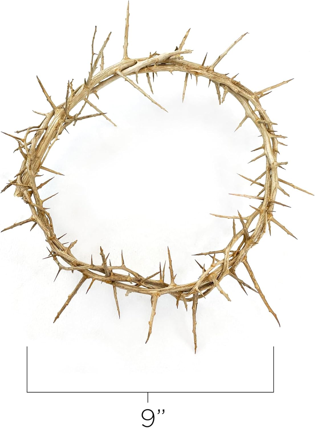 Crown of Thorns - 9" Authentic Jesus Crown from The Holy Land of Jerusalem, Headpiece Replica for Cross Topper, Easter & Lent Decorations & Tree Topper, Gift Boxed, Made in Israel Jerusalem