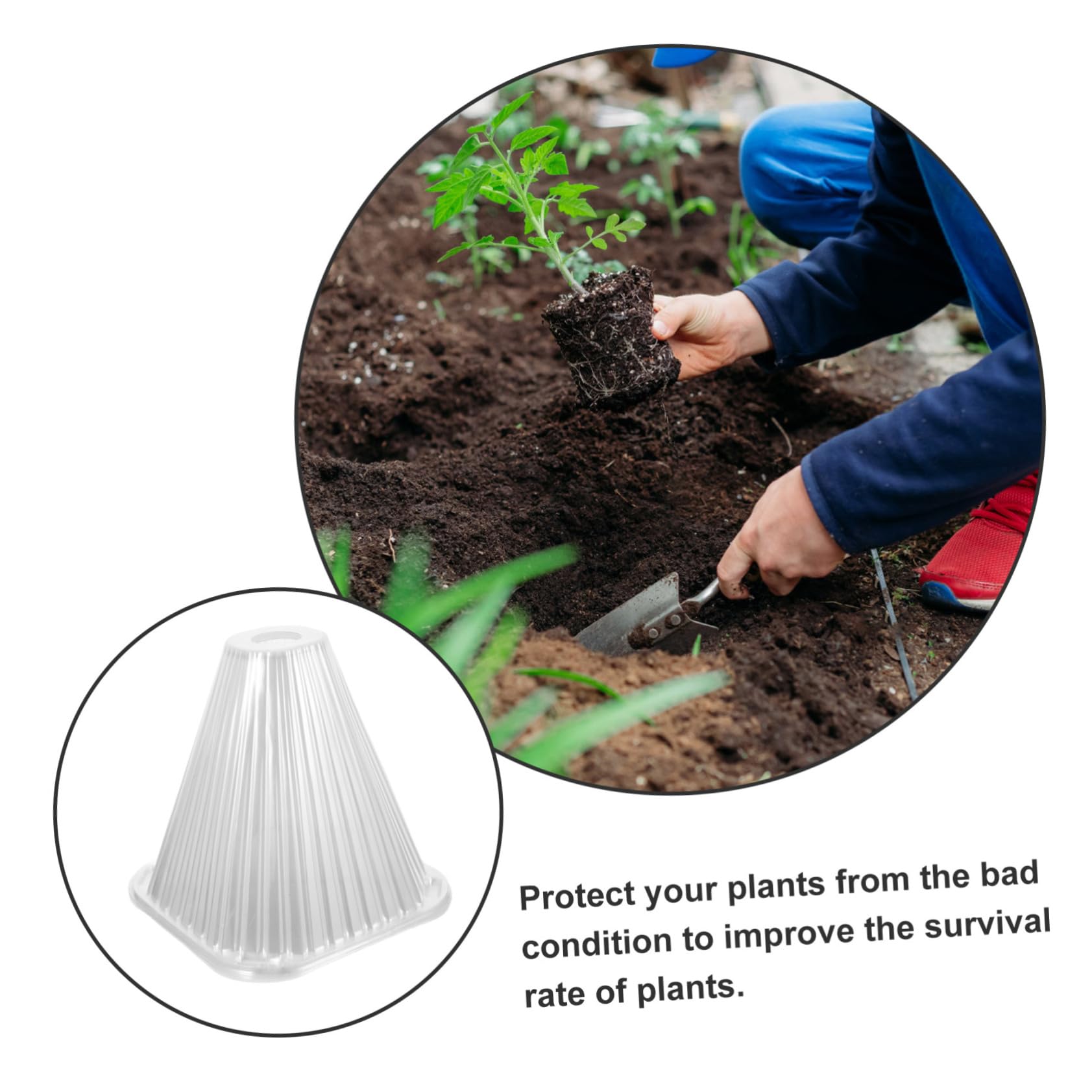 10pièces Cloche De pour Plantes De Transparent avec Ventilation pour Et Gel Chaleur Jardin