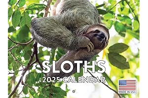 Sloth Calendar 2024 - A Unique Monthly Wall Calendar Filled with Adorable Sloth Pictures