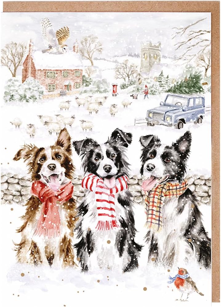 Wrendale Designs - While Shepherds Watched' Dog Christmas Card Pack