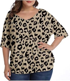 Womens Blouses and Tops Short Sleeve Polluver Blouse V-Neck Short Sleeve T Shirt Casual Loose Short Sleeve Tee Shirts Ladies Comfortable Tops for Summer