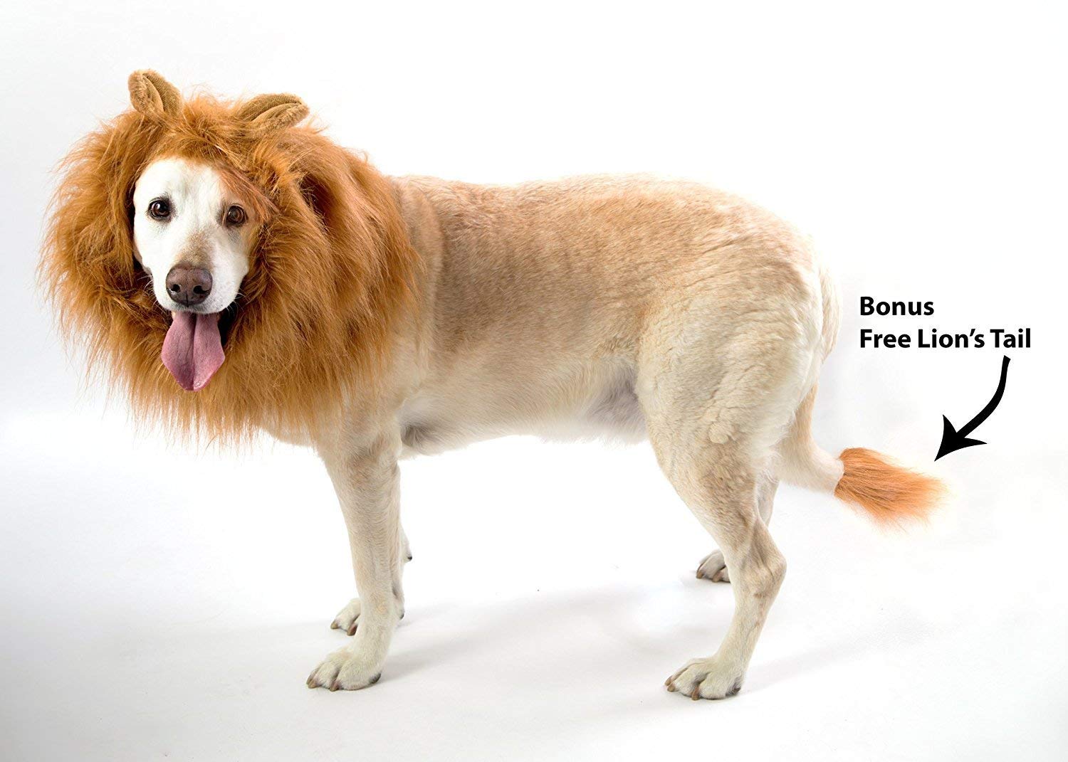 The Lion King Mane Dog Costume Lion Wig With Tail Desertcart