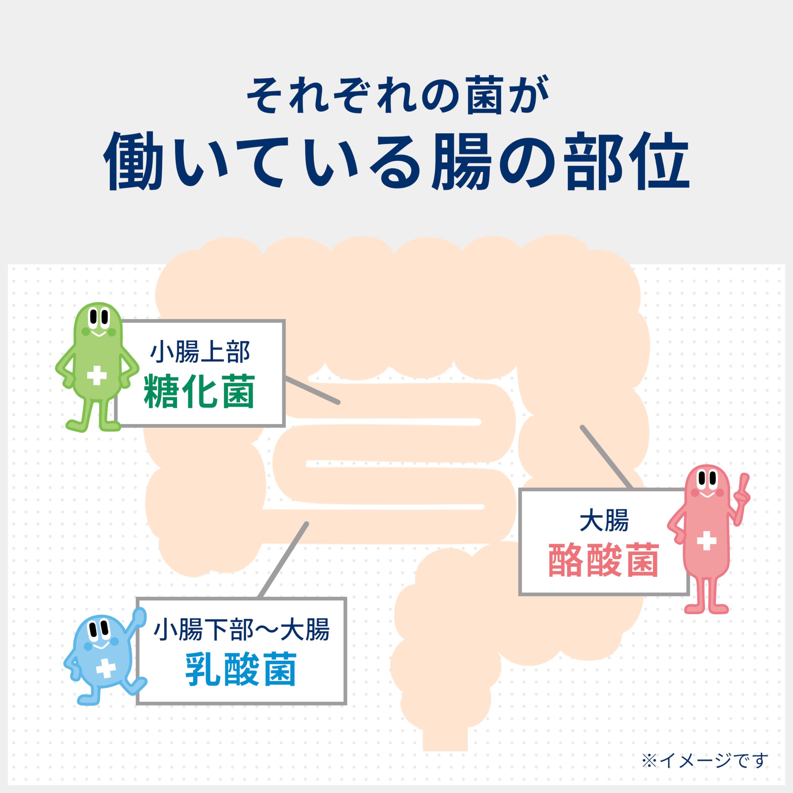 Amazon | 【Amazon.co.jp 限定】ビオスリーHi錠 570錠【指定医薬部外品