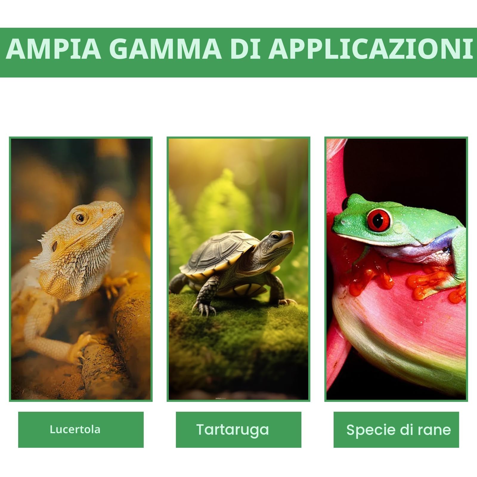 Terrario in acrilico: scatola di alimentazione per rettili, 30 x 20 x 15 cm, trasparente, mini terrario per lumache, ragni e rettili