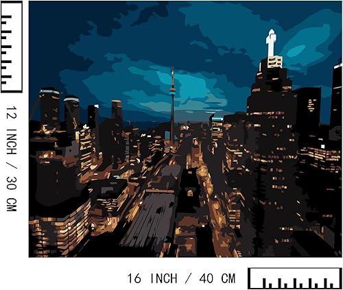 Miniatura 215 de Baisite 1112 Pintura por números, para adulto, principiante, niño, 12 pulgadas de ancho x 16 pulgadas de largo, 2 lienzos, 8 pinceles de madera