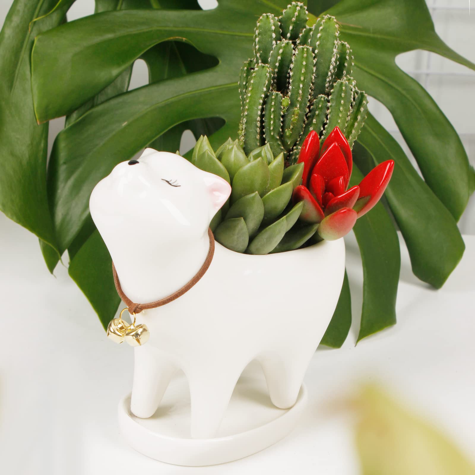 Amazon.co.jp: Mumutie 猫型セラミック多肉植物サボテンプランター