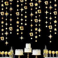 Vista 24 de Decoraciones Negras de Cumpleaños Número 13 Círculo Punto Estrella Centelleante Guirnalda Serpentina Colgante Metálica Banderín Banner Telón