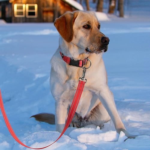 Miniatura 8 de EXCELLENT ELITE SPANKER Collar reflectante para perro, clásico collar ajustable de nailon transpirable para mascotas con hebilla de liberación