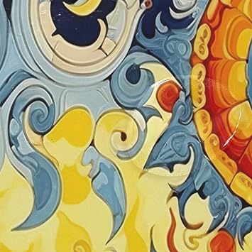 Mexican Talavera Shower Curtain for Bathroom Decor 152x183 cm Waterproof Fabric Shower Curtain Liner Lightweight Cloth Shower Curtain with 12 Metal Hooks