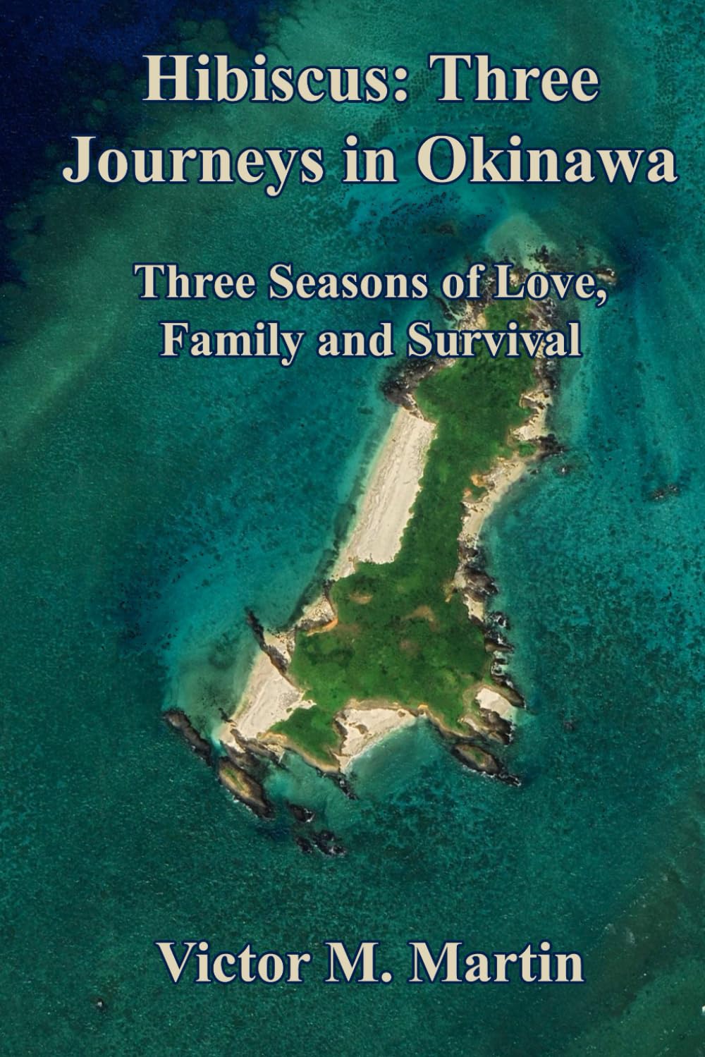 Hibiscus: Three Journeys in Okinawa: Three Seasons of Love, Family, and Survival